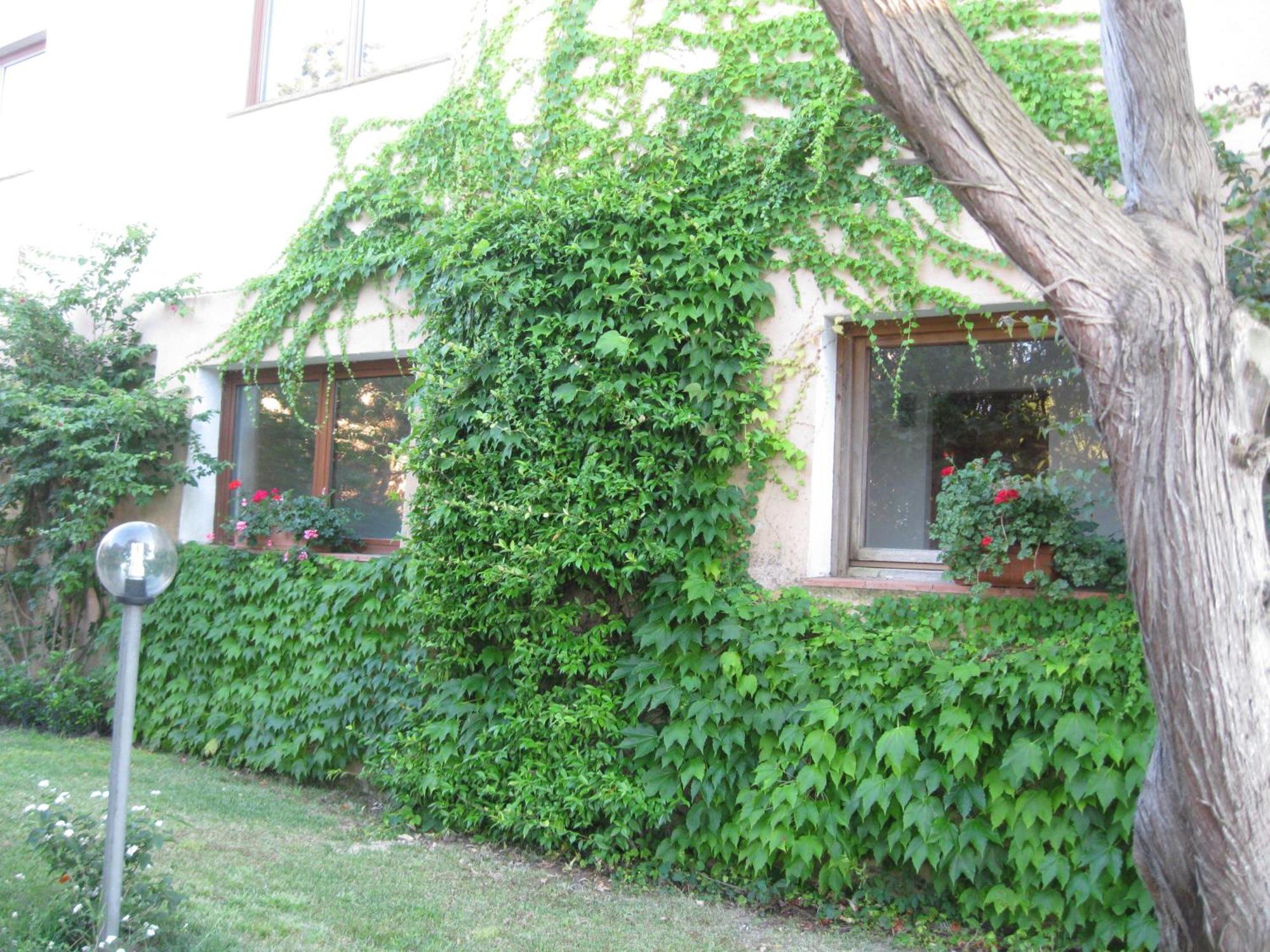 Hotel Valdiola Porto Cervo Exterior photo